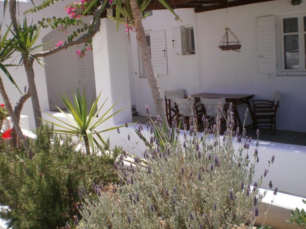 Paros Rita Studios Piso Livadi Extérieur photo